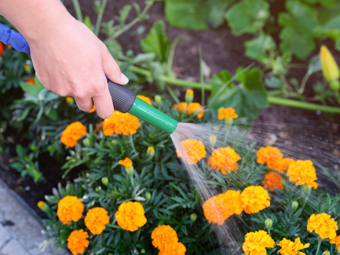 Additional Groundskeeping Services Basildon