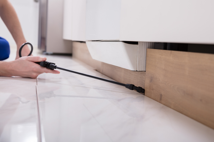 Handling a Pest Infestation