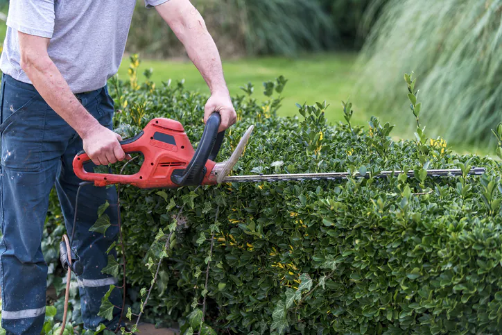Grounds Maintenance Safety Romford