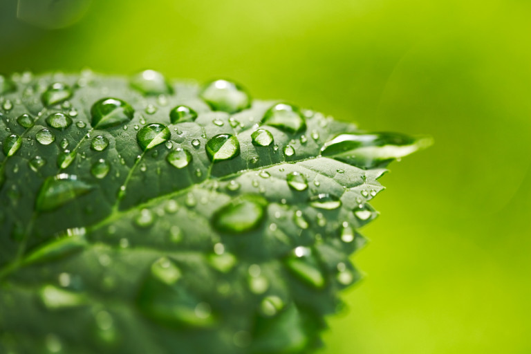 Eco-Friendly Factory Cleaning Services