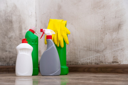 5 Tips on How to Get Rid of Mould