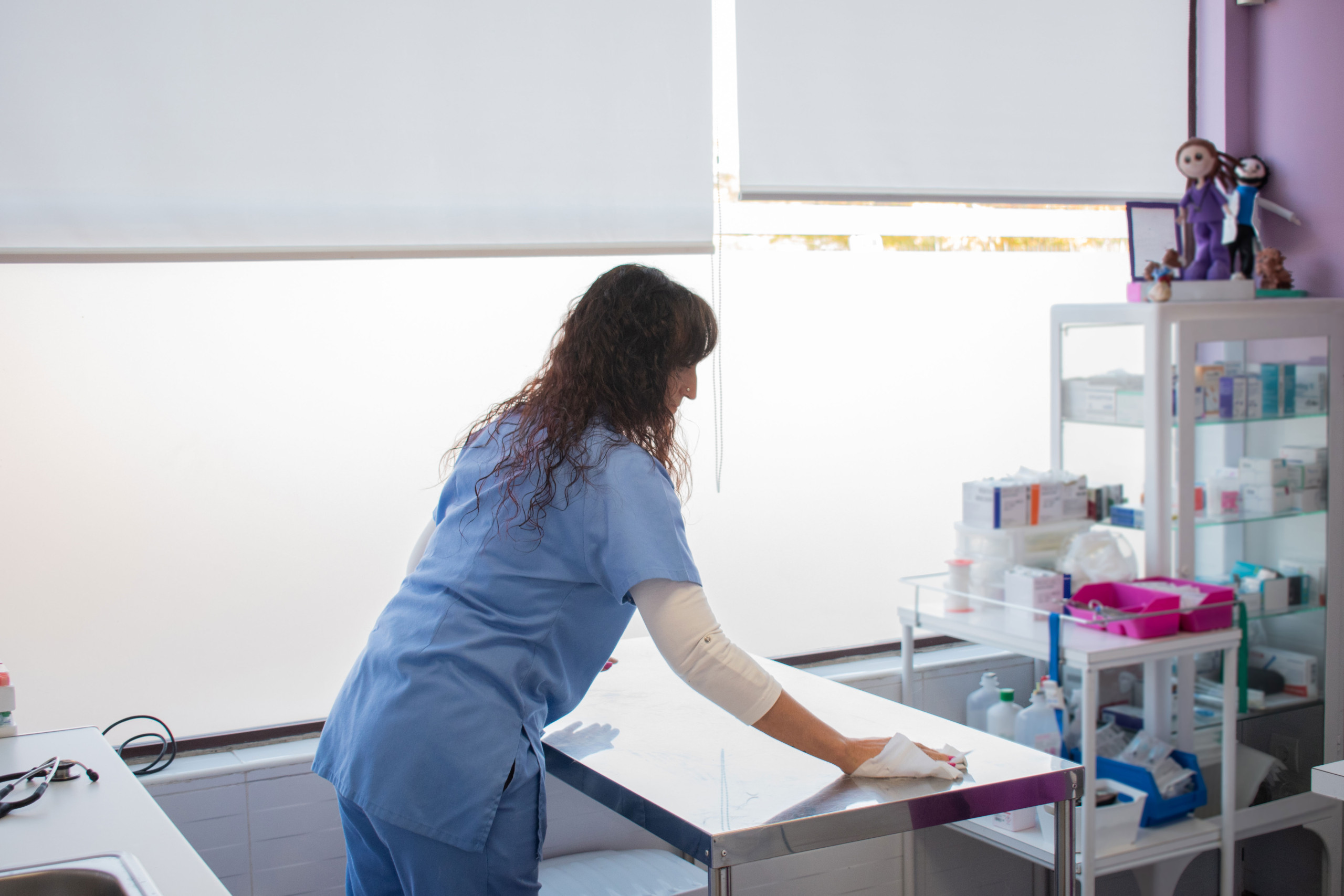 Specialist veterinary practice cleaning services for London clinics
