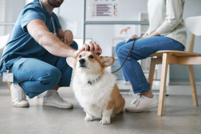 7 Step Easy to Follow Veterinary Cleaning Checklist for Your Practice